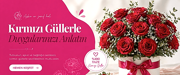 Kırmızı Güller