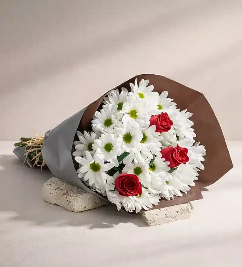 Papatyalar